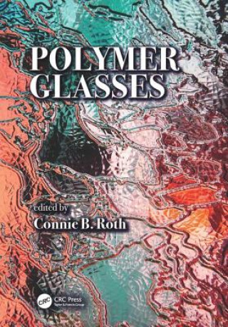 Knjiga Polymer Glasses Connie B. Roth