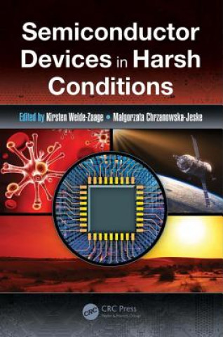 Könyv Semiconductor Devices in Harsh Conditions 