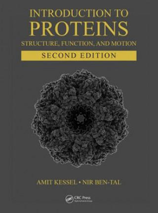 Kniha Introduction to Proteins Amit (Es-Is Technologies Ltd Givatayim Israel) Kessel