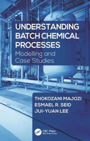 Kniha Understanding Batch Chemical Processes Thokozani Majozi