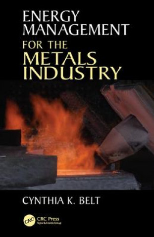 Kniha Energy Management for the Metals Industry Cynthia K. Belt