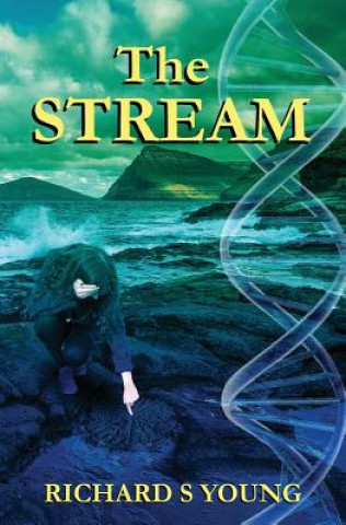 Knjiga Stream Richard S Young