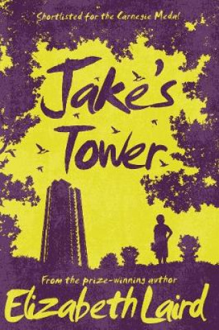Carte Jake's Tower Elizabeth Laird