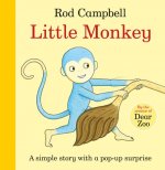 Könyv Little Monkey! CAMPBELL  ROD
