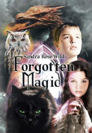 Kniha Forgotten Magic SANDRA ROSE WILD