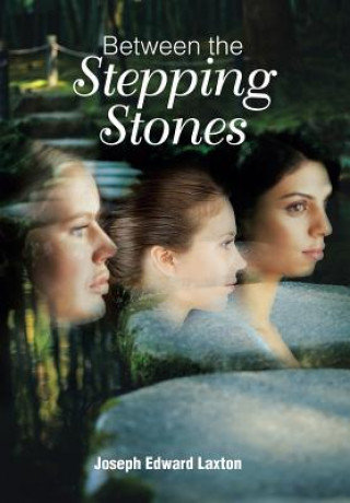 Libro Between the Stepping Stones Joseph Edward Laxton