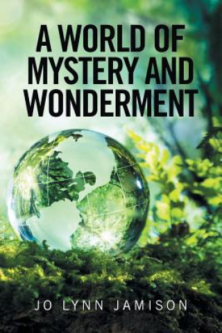 Kniha World of Mystery and Wonderment Jo Lynn Jamison