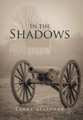 Book In the Shadows Larry Stafford