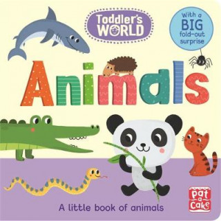 Kniha Toddler's World: Animals Pat-a-Cake