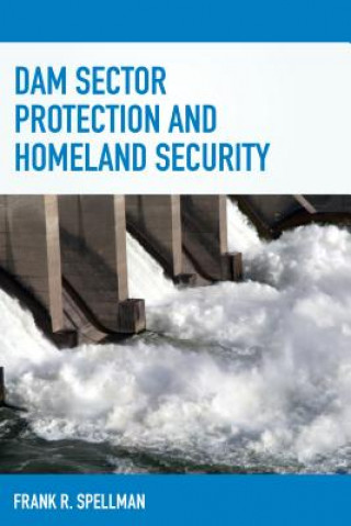 Livre Dam Sector Protection and Homeland Security Frank R. Spellman