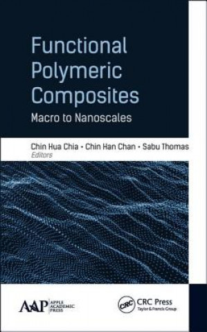 Kniha Functional Polymeric Composites 