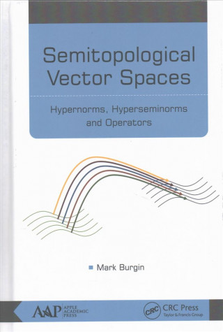 Kniha Semitopological Vector Spaces Burgin