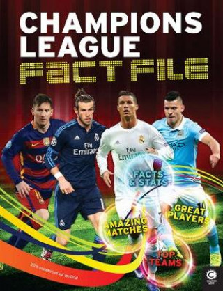 Книга Champions League Fact File Clive Gifford