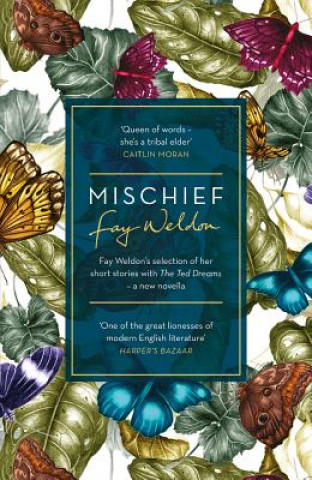 Kniha Mischief Fay Weldon