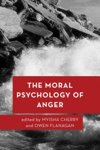 Könyv Moral Psychology of Anger Myisha Cherry
