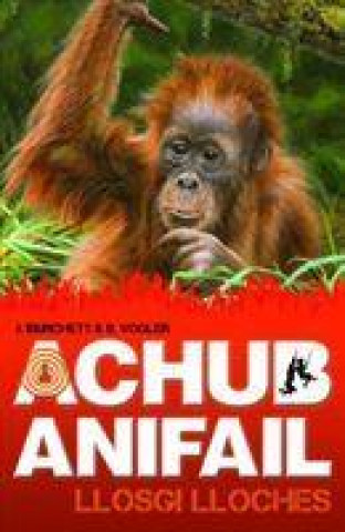 Könyv Achub Anifail: Llosgi Lloches Jan Burchett