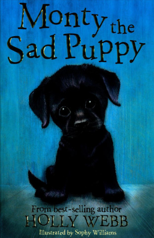 Könyv Monty the Sad Puppy Holly Webb