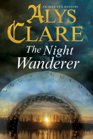 Kniha Night Wanderer Alys Clare