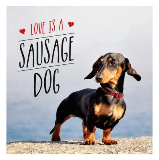 Carte Love is a Sausage Dog Charlie Ellis
