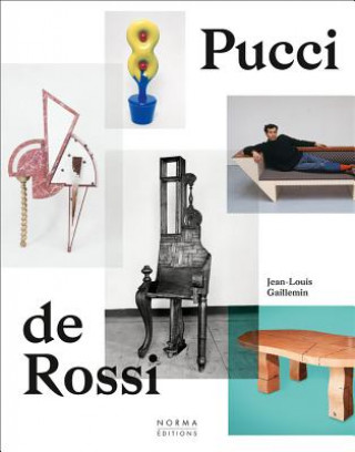Kniha Pucci de Rossi Nancy Huston