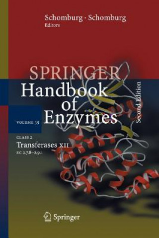 Kniha Class 2 Transferases XII Dietmar Schomburg