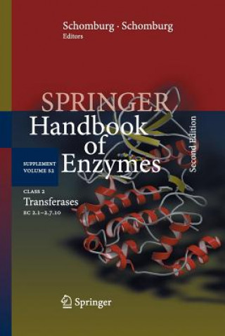 Knjiga Class 2 Transferases Dietmar Schomburg