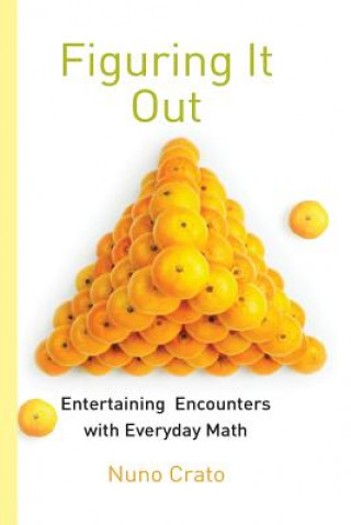 Book Figuring It Out Nuno Crato