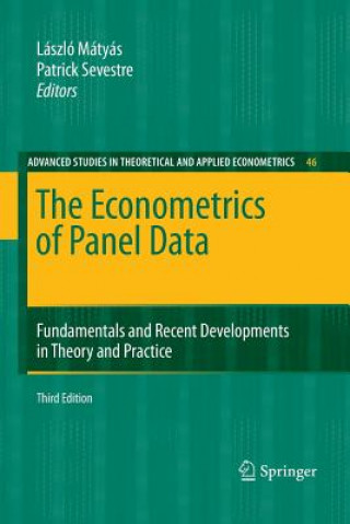 Carte Econometrics of Panel Data Lászlo Mátyás