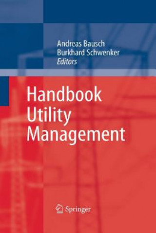 Book Handbook Utility Management Andreas Bausch