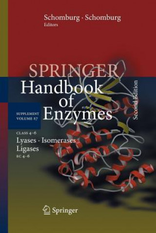 Kniha Class 4-6 Lyases, Isomerases, Ligases Dietmar Schomburg