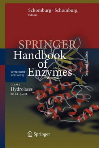 Knjiga Class 3 Hydrolases Dietmar Schomburg