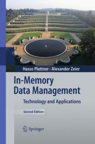 Kniha In-Memory Data Management Hasso Plattner