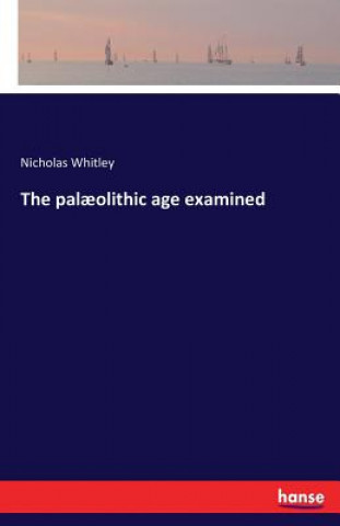 Könyv palaeolithic age examined Nicholas Whitley