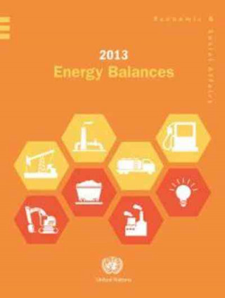 Kniha 2013 energy balances United Nations: Department of Economic and Social Affairs