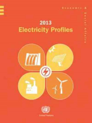 Kniha 2013 electricity profiles United Nations: Department of Economic and Social Affairs