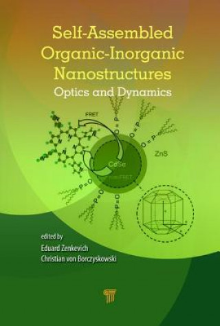 Kniha Self-Assembled Organic-Inorganic Nanostructures Christian von Borczyskowski