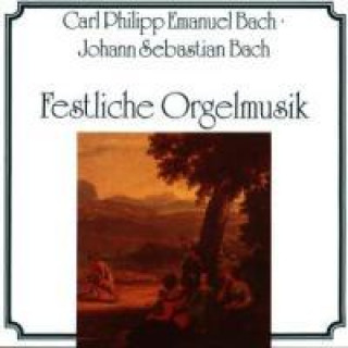 Audio Bach/Festl.Orgelmusik Feller/De Pastel/Orgel