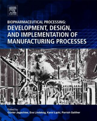 Kniha Biopharmaceutical Processing Günter Jagschies