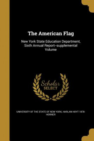 Buch AMER FLAG Harlan Hoyt 1878 Horner