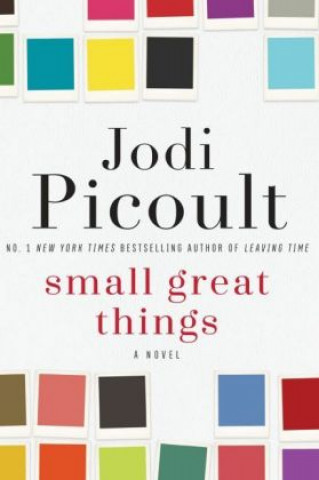 Kniha Small Great Things Jodi Picoult