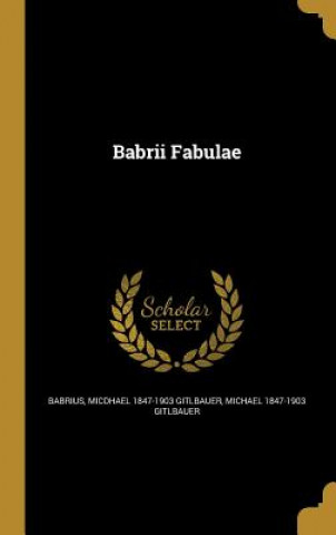 Book BABRII FABULAE Micdhael 1847-1903 Gitlbauer