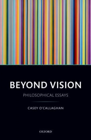 Buch Beyond Vision Casey O'Callaghan