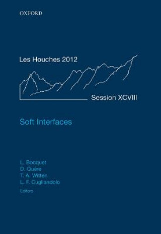 Βιβλίο Soft Interfaces LYD RIC; QU BOCQUET