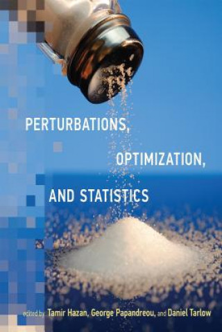 Kniha Perturbations, Optimization, and Statistics 