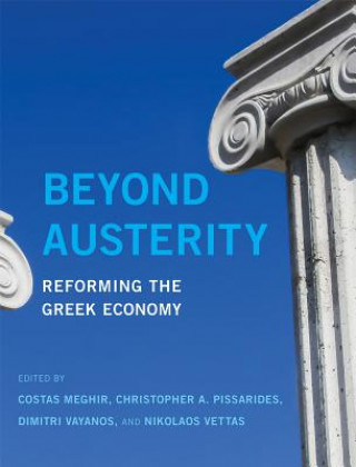 Könyv Beyond Austerity 