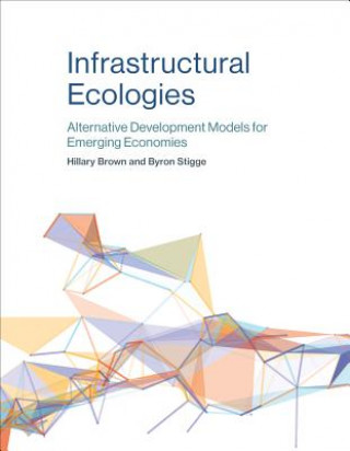 Książka Infrastructural Ecologies Hillary Brown