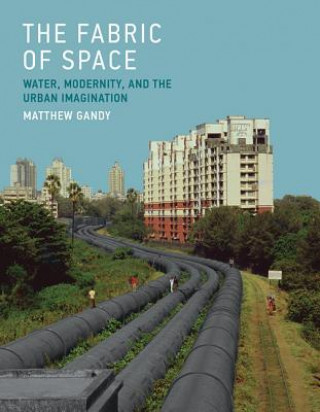 Kniha Fabric of Space Matthew Gandy