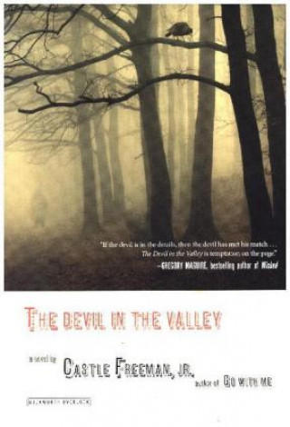 Livre Devil in the Valley CASTLE FREEMAN