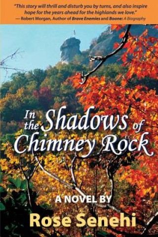 Carte In the Shadows of Chimney Rock ROSE SENEHI