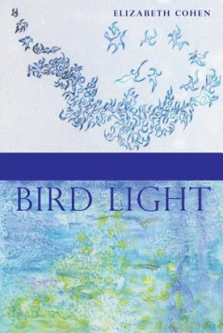 Könyv Bird Light ELIZABETH COHEN